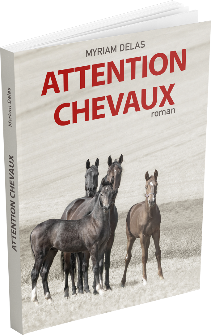 mockup_attention-chevaux